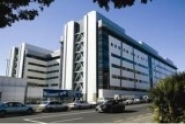 auckland_hospital