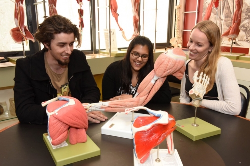 Anatomy Museum