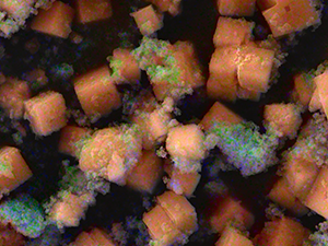 EM_2024_300px