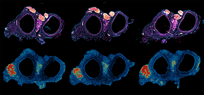 LM_winner_2025_400px LM_winner_2025_400px