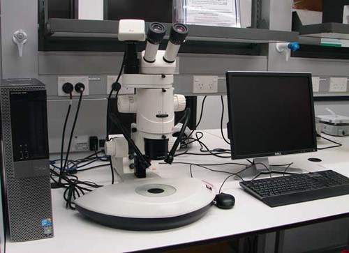 Photo of the stereo microscope