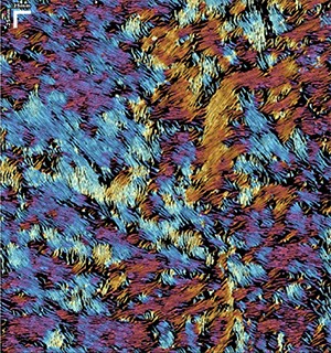 V_2024_300px V_2024_300px