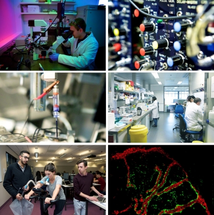 Physiology home Physiology home