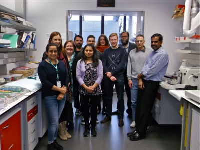 image of the Fetal Physiology and Neuroscience Team