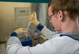 research-1 research-1