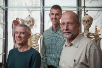 Osteoporosis lead investigators