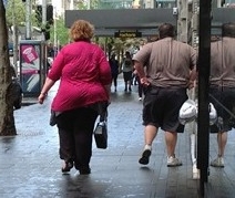 Obese couple Obese couple
